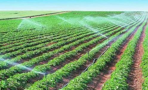 大jb插bh在线观看农田高 效节水灌溉
